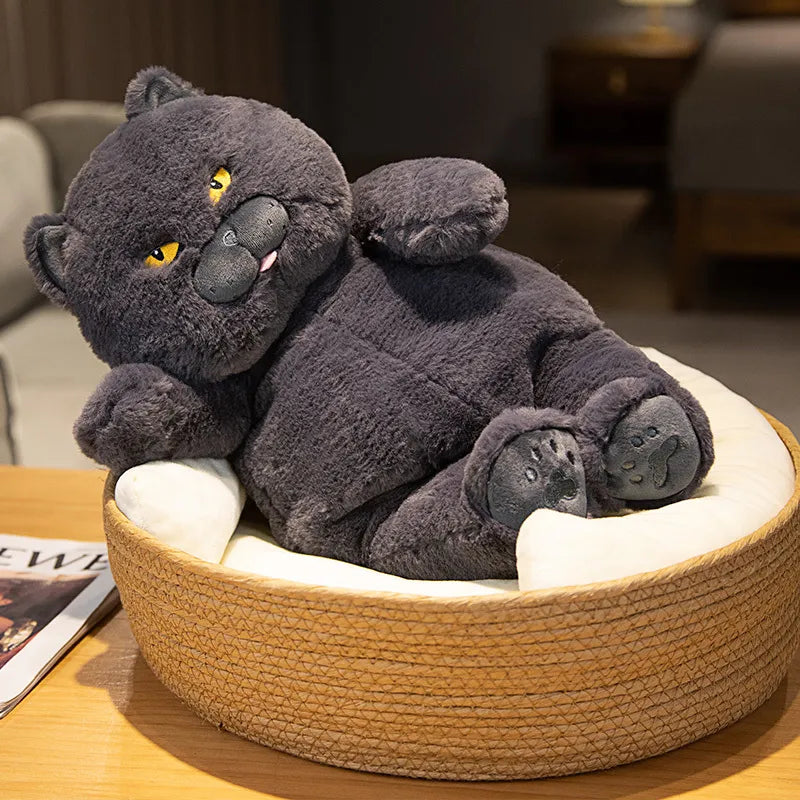 Peluche de gato
