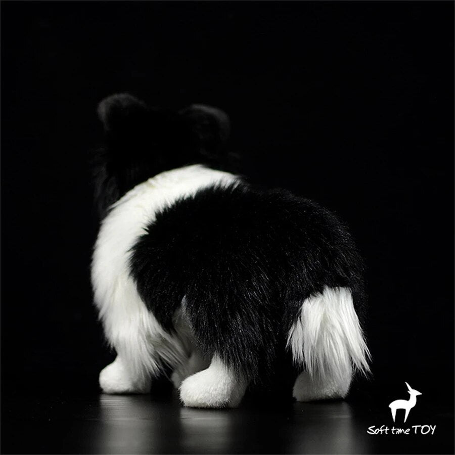Peluche Chien Border Collie