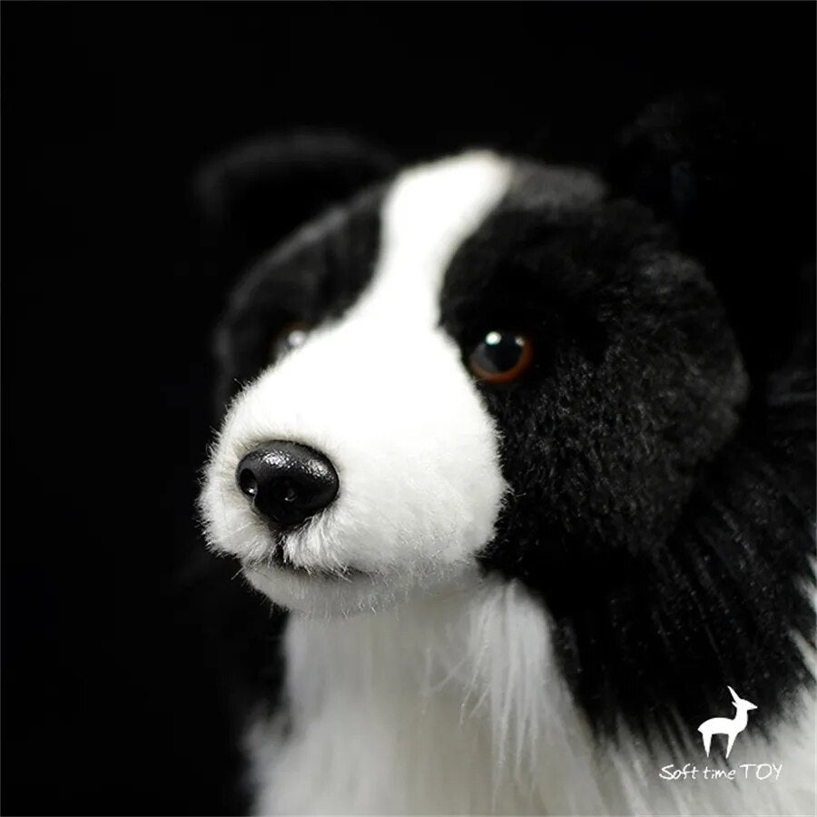 Peluche Chien Border Collie