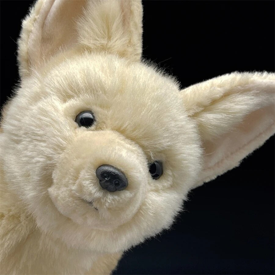 Peluche Fennec