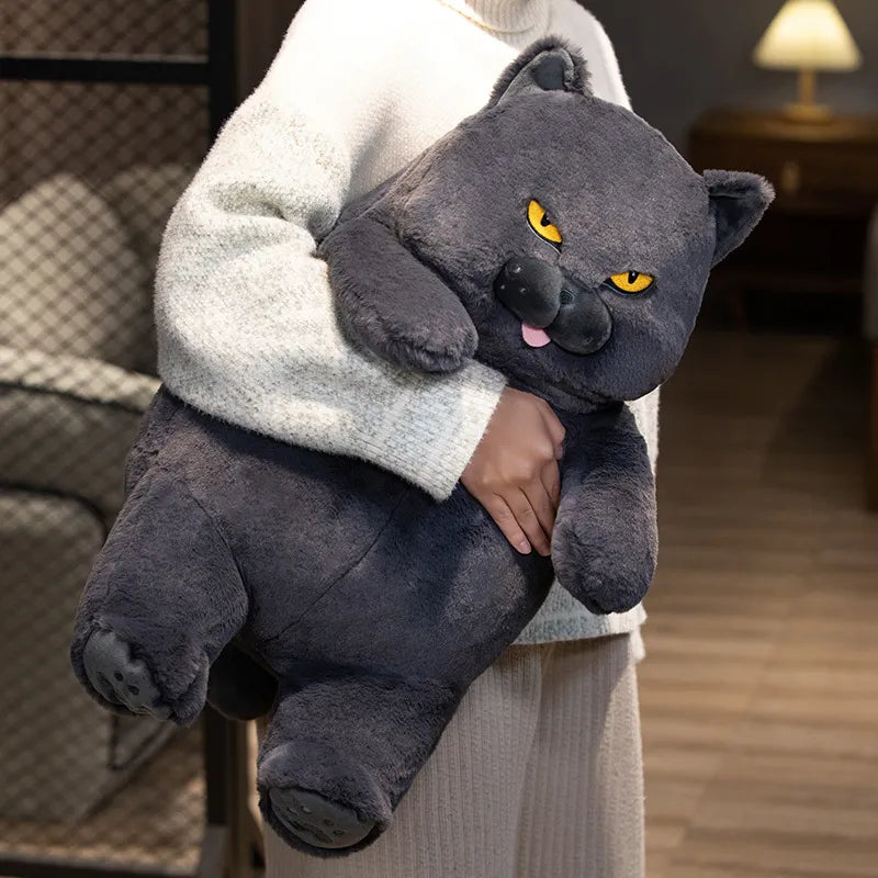 Peluche Chat Chartreux – PeluchMania