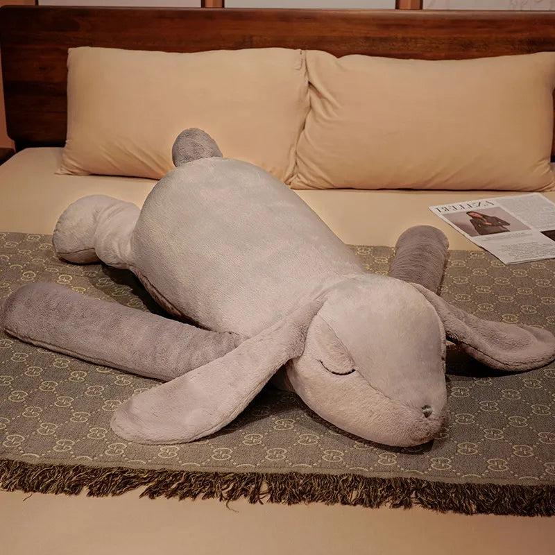 47168604832069|47168604864837