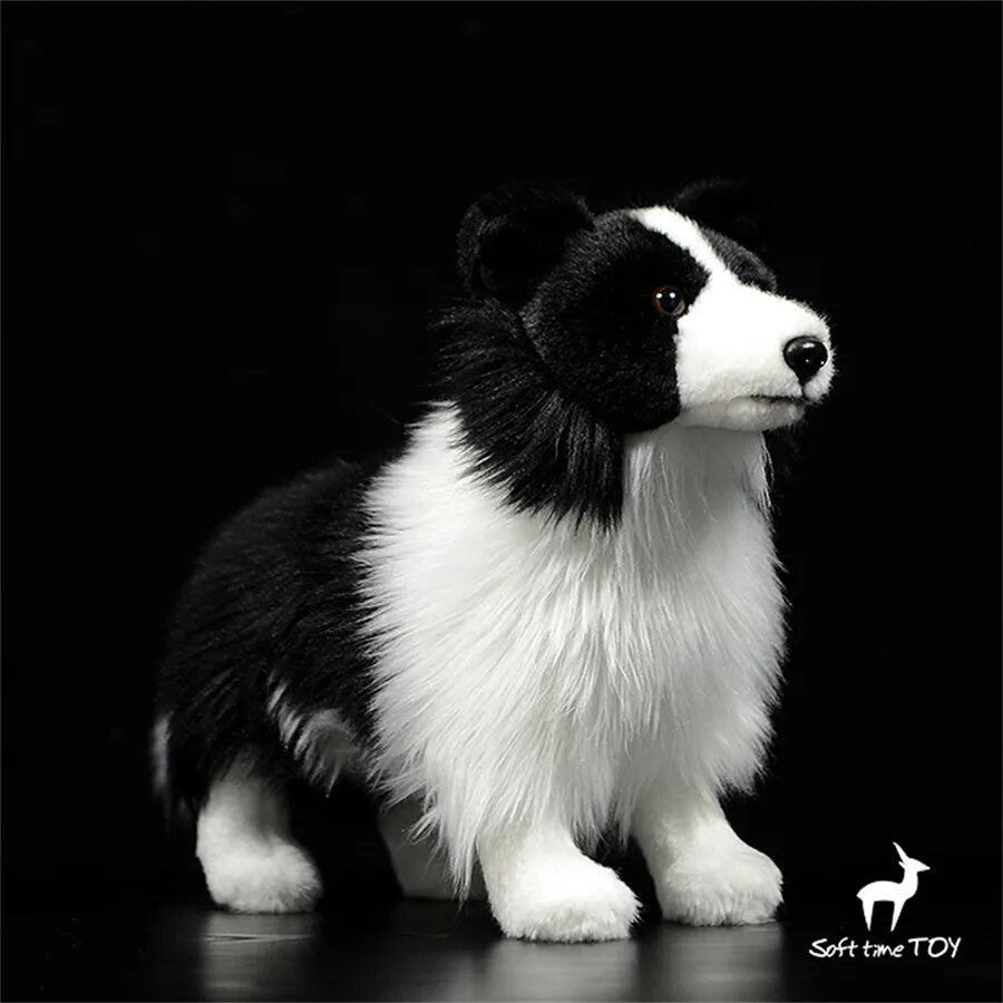 Peluche Chien Border Collie