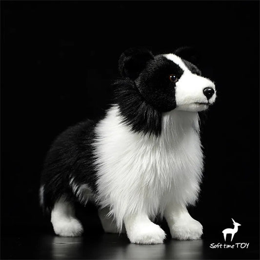 Peluche Chien Border Collie