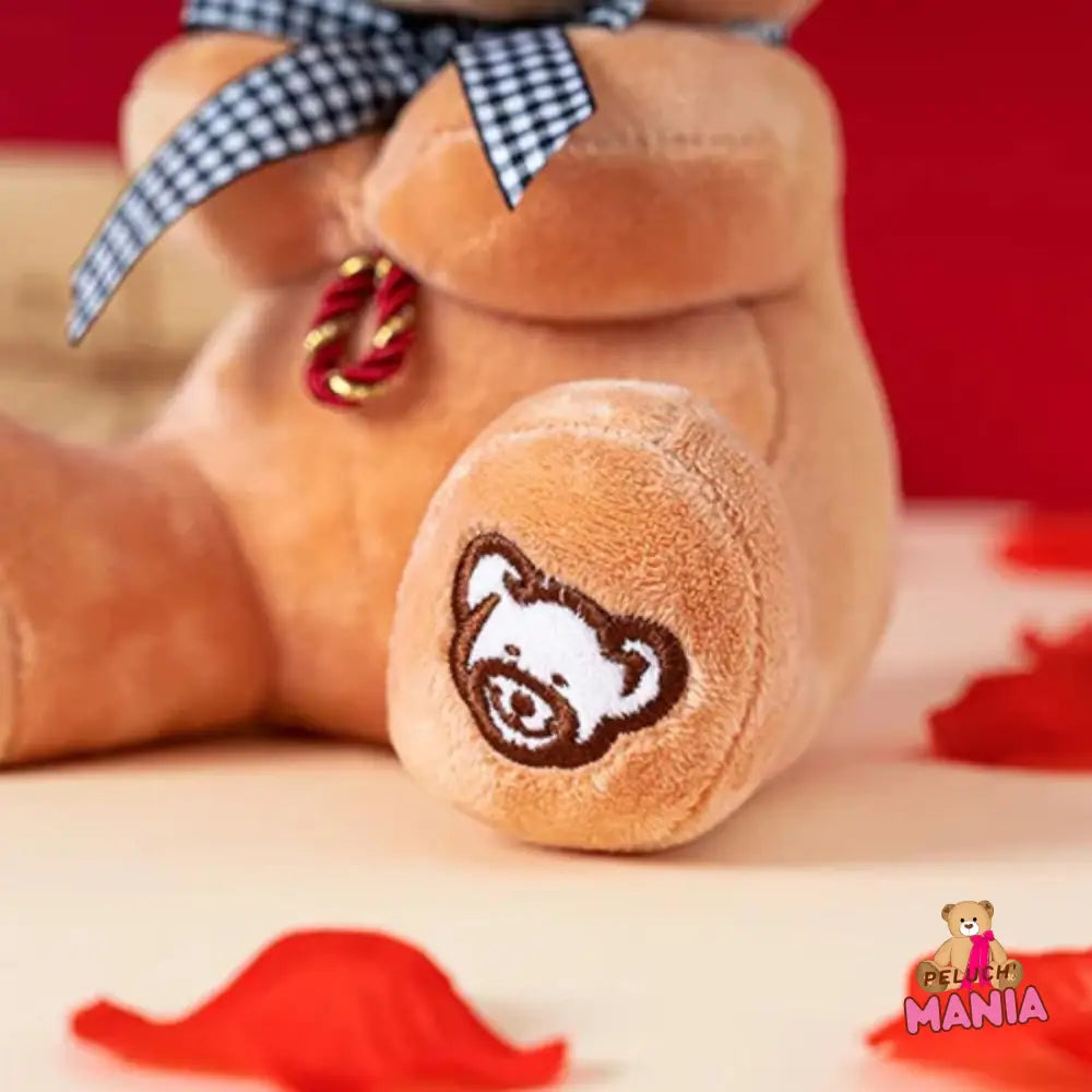 Nounours En Peluche Saint Valentin
