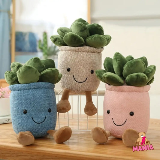 Peluche Plante Succulente Kawaii