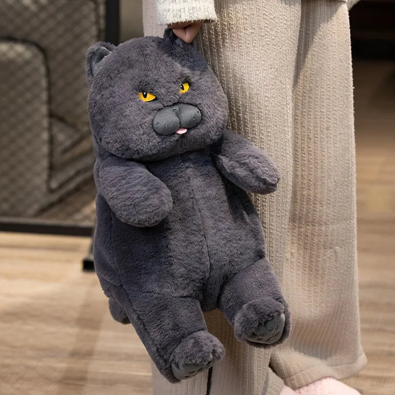 Peluche Chat Voyou – PeluchMania