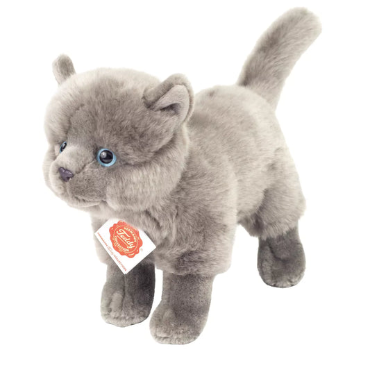 Peluche Chat Chartreux